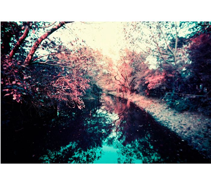Фотопленка Lomography Lomochrome Purple XR 35 mm ISO 100-400, 36 кадров, 1 шт.