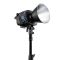 Осветитель Zhiyun MOLUS B300