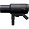 Комплект вспышек Profoto Pro-D3 1250 Duo Kit