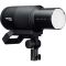 Вспышка Profoto Pro-D3 1250
