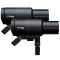 Комплект вспышек Profoto Pro-D3 1250 Duo Kit