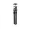 Штатив Gitzo GKTBC1 Mini Traveler Noir Decor