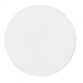 Стеклянный рассеиватель Profoto Glass for Softlight Reflector Стеклянный рассеиватель Profoto Glass for Softlight Reflector