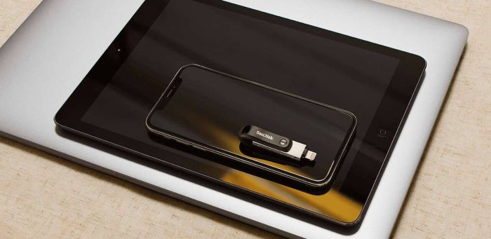 Флеш-накопитель SanDisk iXpand Go USB 3.0/Lightning 64GB
