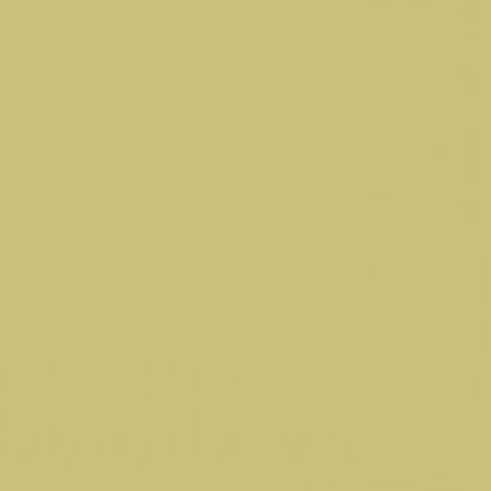 Фон бумажный Colorama LL CO112 2,72 х 11 м., цвет FERN