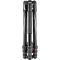 Штатив с головкой Manfrotto Befree GT Twist