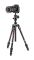 Штатив с головкой Manfrotto Befree Advanced Travel Twist Carbon