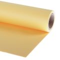 Фон бумажный Lastolite LL LP9004 2,75 х 11 м., цвет Corn Фон бумажный Lastolite LL LP9004 2,75 х 11 м., цвет Corn