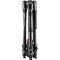 Штатив с видеоголовкой Manfrotto Befree Live Twist Lock