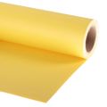 Фон бумажный Lastolite LL LP9038 2,75 х 11 м., цвет Primrose Фон бумажный Lastolite LL LP9038 2,75 х 11 м., цвет Primrose
