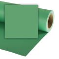 Фон бумажный Colorama LL CO264 2,72 х 25 м., цвет APPLE GREEN Фон бумажный Colorama LL CO264 2,72 х 25 м., цвет APPLE GREEN
