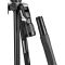 Штатив с головкой Manfrotto Befree 2N1 Advanced Travel Twist