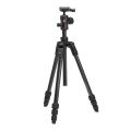 Штатив с головкой Manfrotto MKBFRTC4FB-BH Befree Advanced AS карбоновый с цанговыми замками Штатив с головкой Manfrotto MKBFRTC4FB-BH Befree Advanced AS карбоновый с цанговыми замками